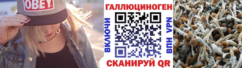 где можно купить наркотик  Алупка  Галлюциногенные грибы Cubensis 